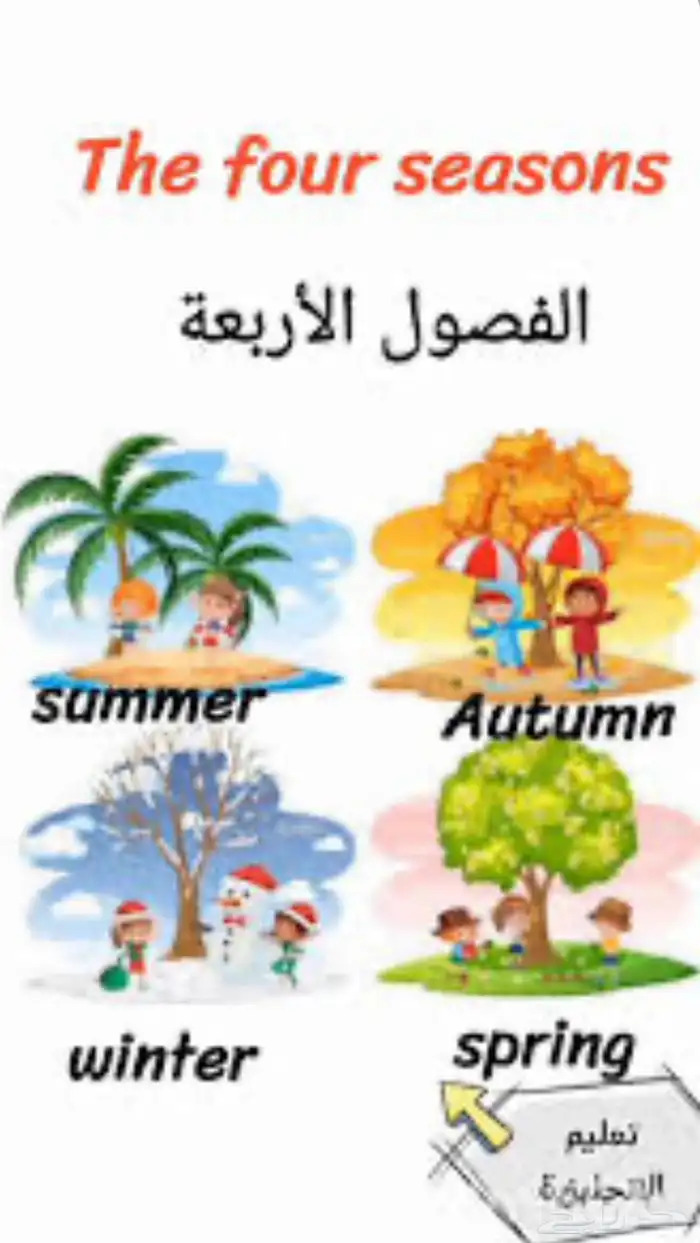 بطاقات وملصقات تعليمية 0