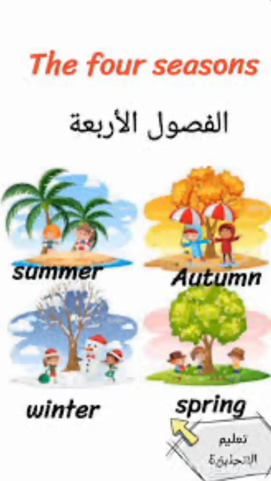 بطاقات وملصقات تعليمية 0