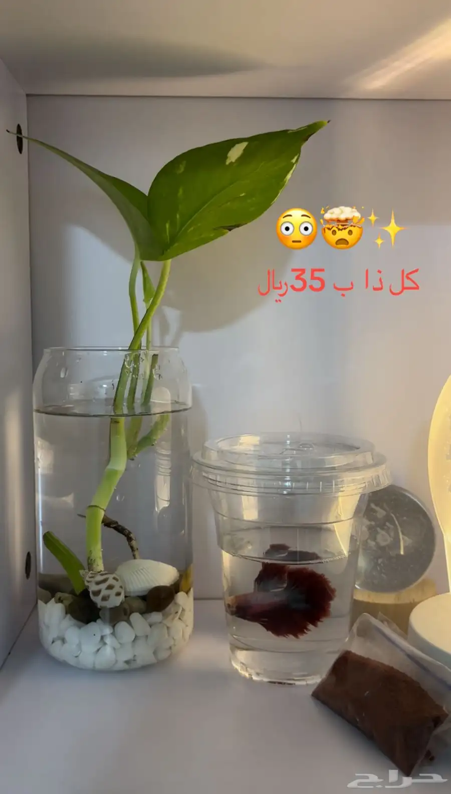 سمك فايتر بكمال ملحقاته 35 index