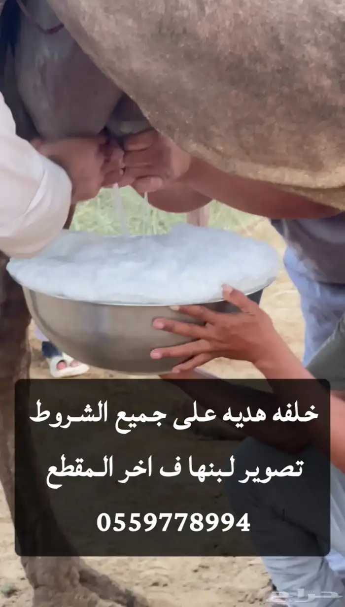 للبيع خلفه 1
