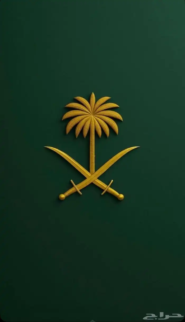 دنه ونش للتوصيل داخل المدينة وخارجها أسعار مناسبه للجميع 0