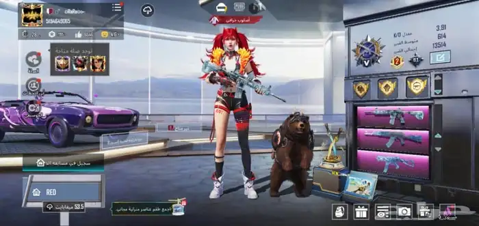 حساب ببجي للبيع 44