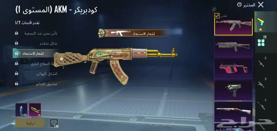 حساب ببجي 17