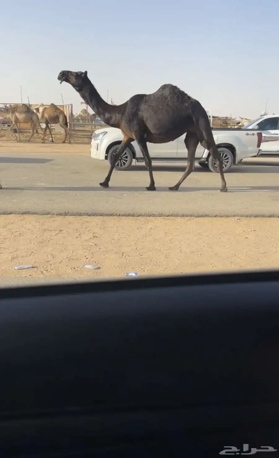 حقه مجهم 3