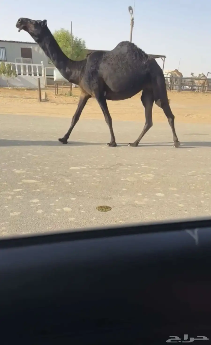 حقه مجهم 2