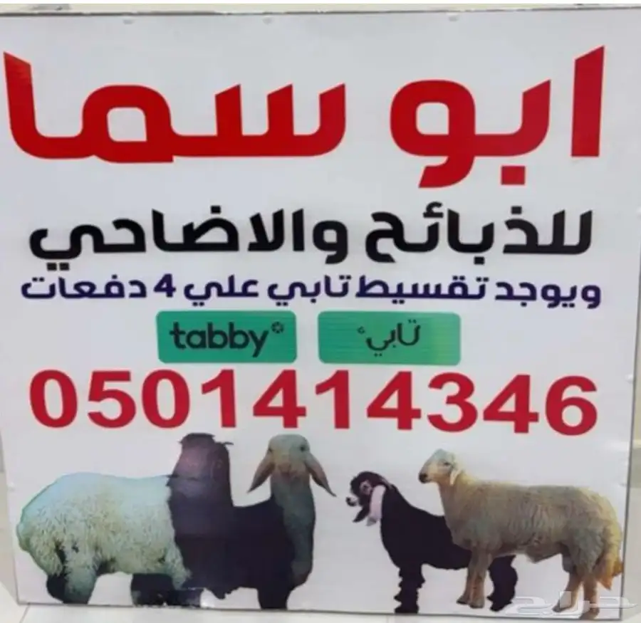 نعيم جبر زوجات حفلات مفاطيح مناسبات 1