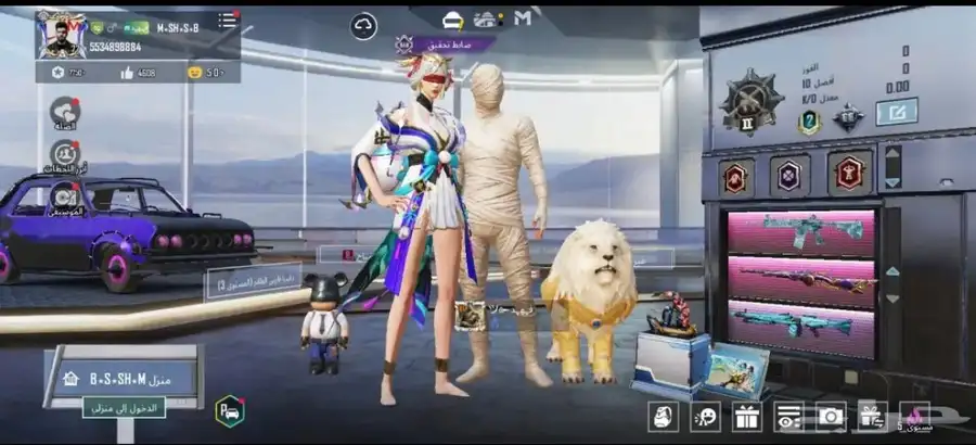 بوبجي 6