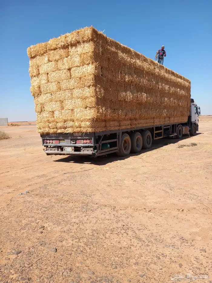 اعلاف 7
