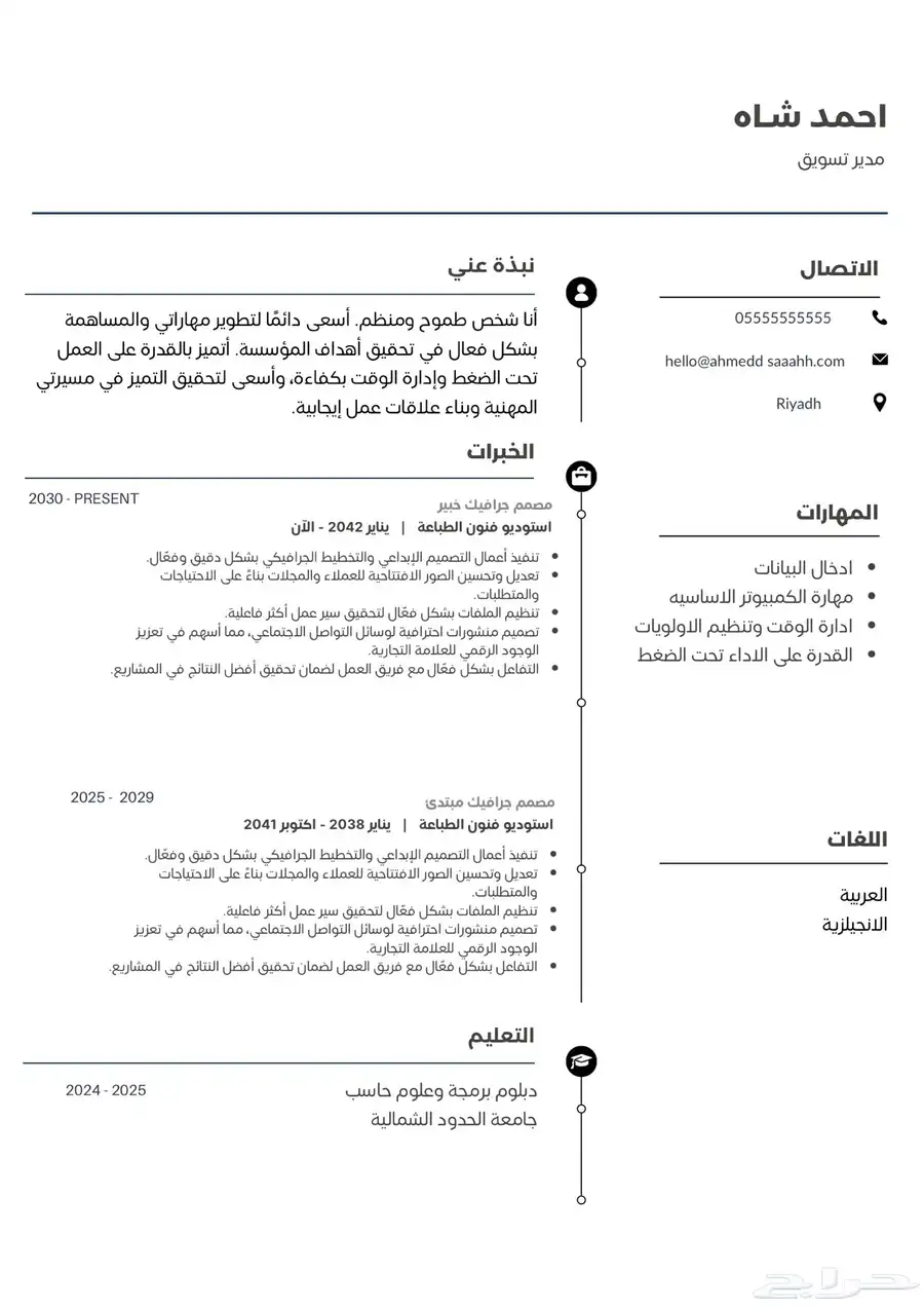 سيرة ذاتية احترافية 3