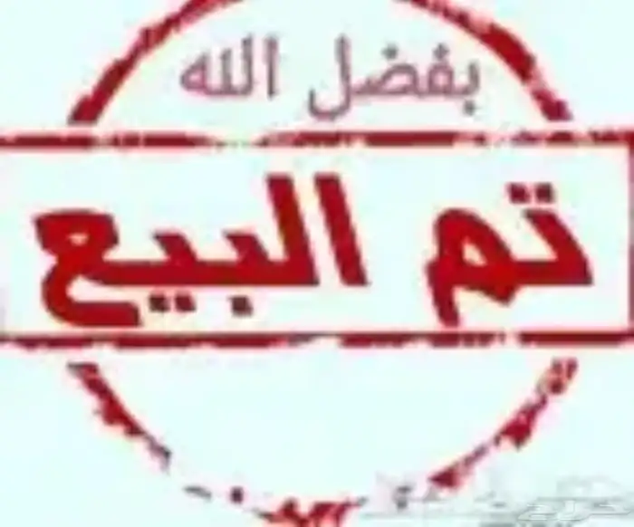 عنز عارضية متاومة تحتها تم البيع 4