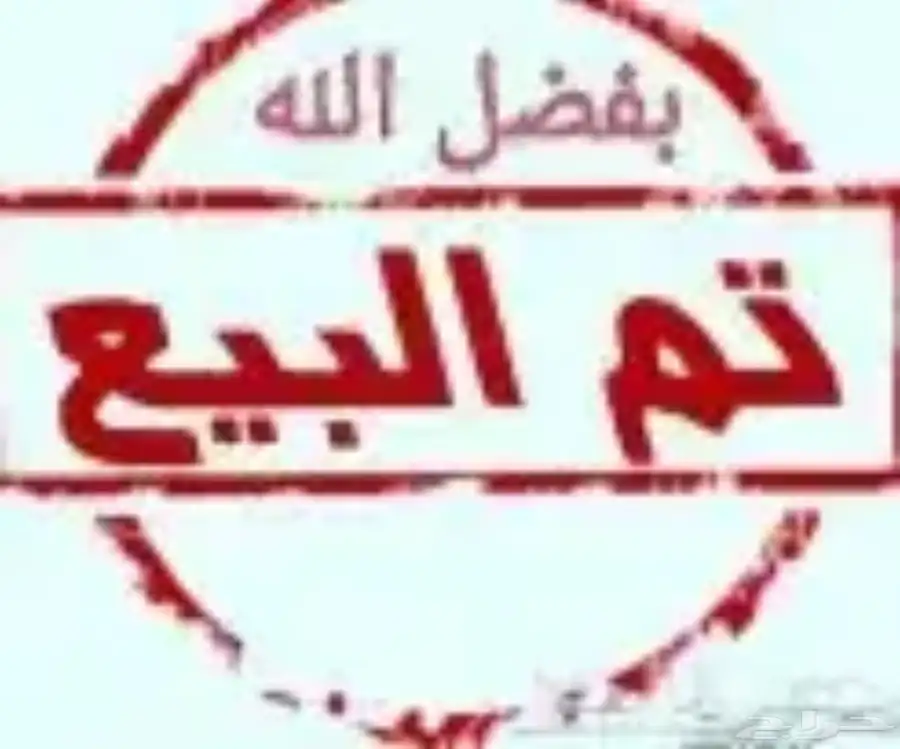 عنز عارضية متاومة تحتها تم البيع 4