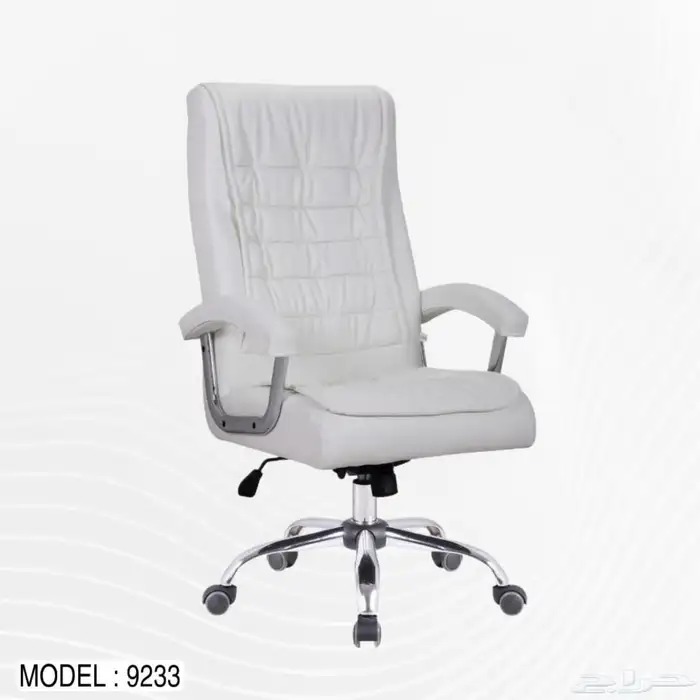 كرأسي جلد كرأسي شبك مكاتب دولاب خشب دولاب حديد. 7