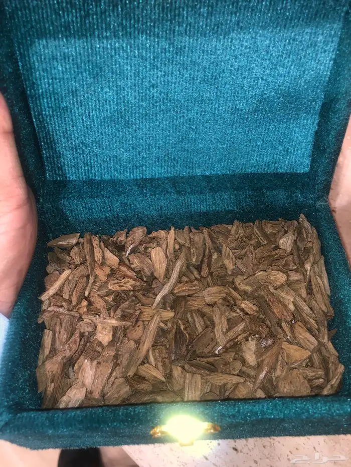 عود مروكي طبيعي كسر صغيره 0