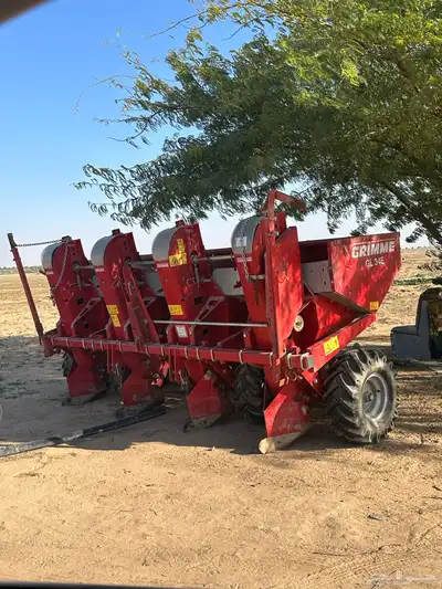 بذاره بطاطس للبيع 0