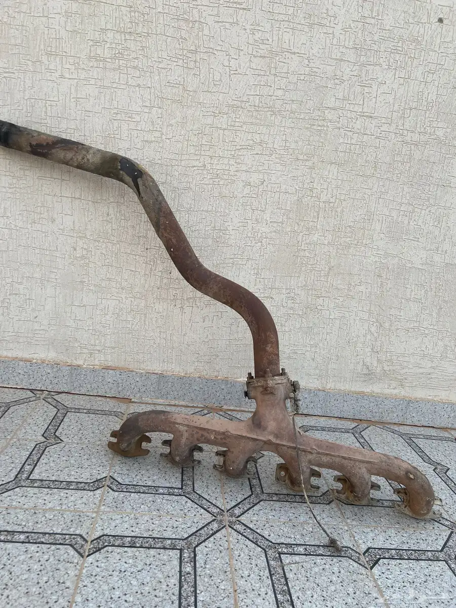 قزوز عايدي بطفاية للبيع 0
