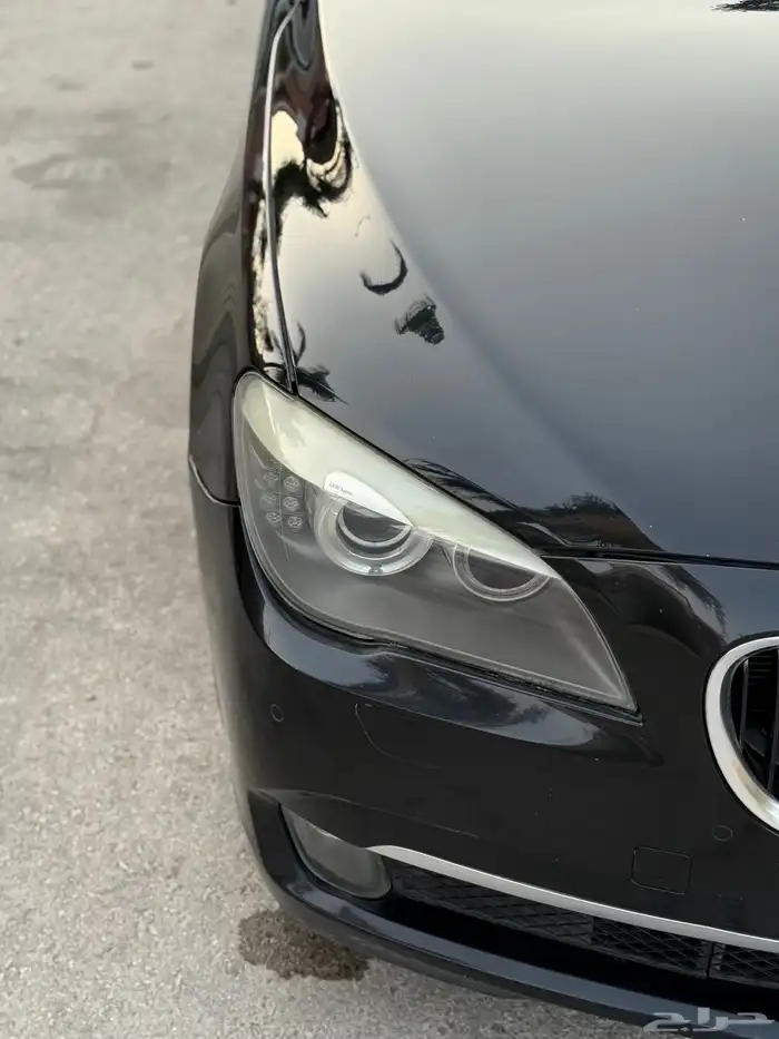 BMW 730Li 2010 6