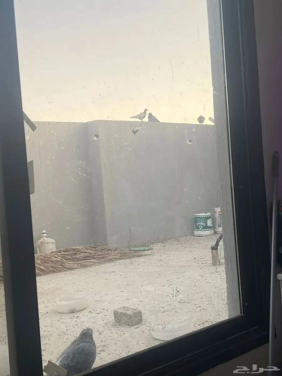 حمام مشكله 0