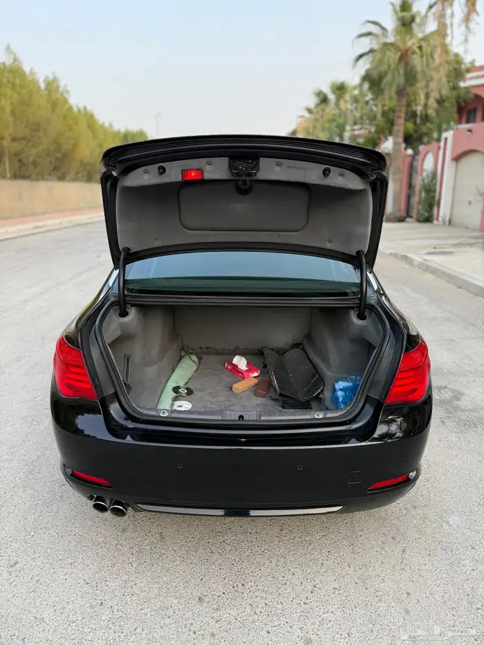BMW 730Li 2010 17
