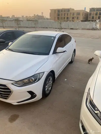 النترا2018 مكينه (2000) 2