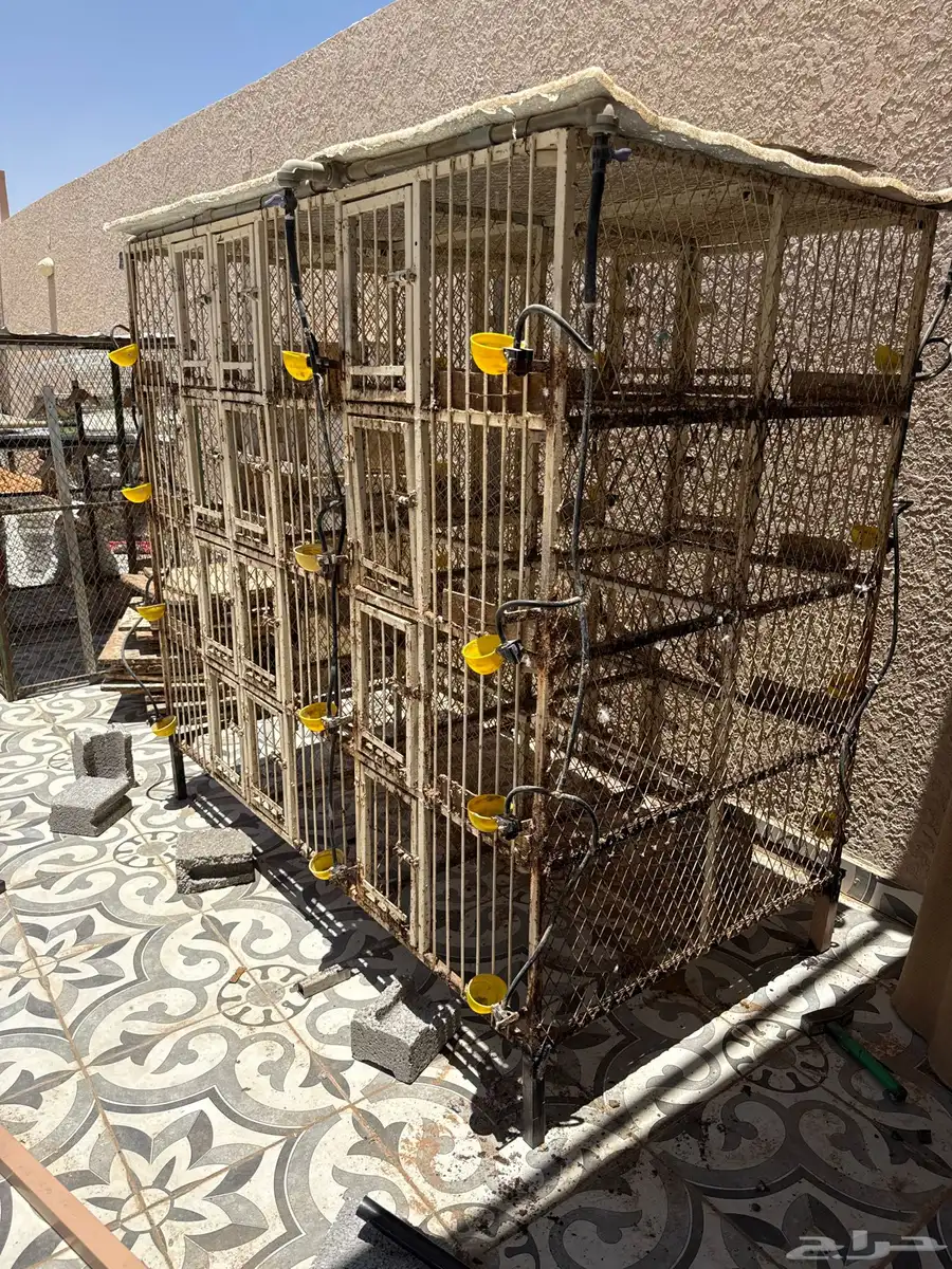 محاكر حداد وبحال جيدة واحد 24 الأبيض والأخضر 3 محاكر العداد 1