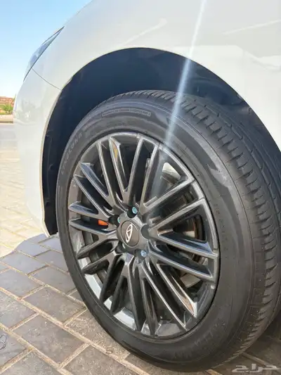 شيري اريزو 2024 14