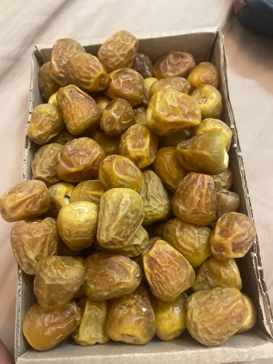 تمور القصيم 0