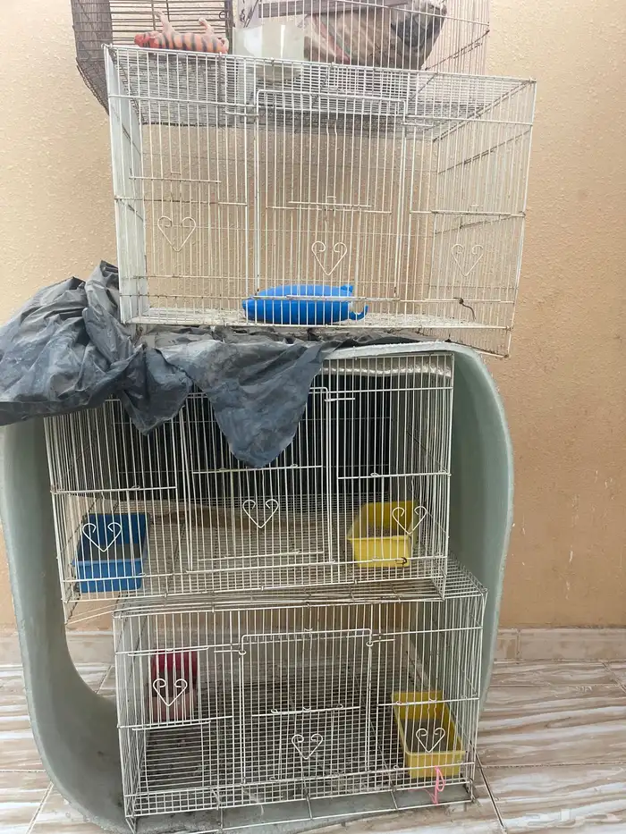 اقفاص واغراض 0