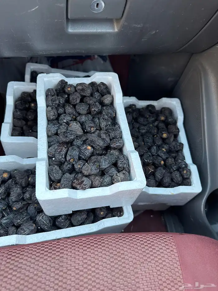 عجوة طيبة ب 30 1