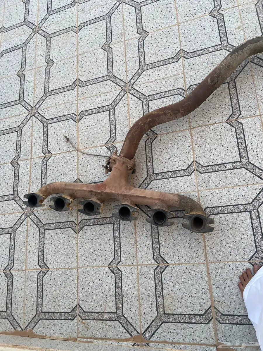 قزوز عايدي بطفاية للبيع 2