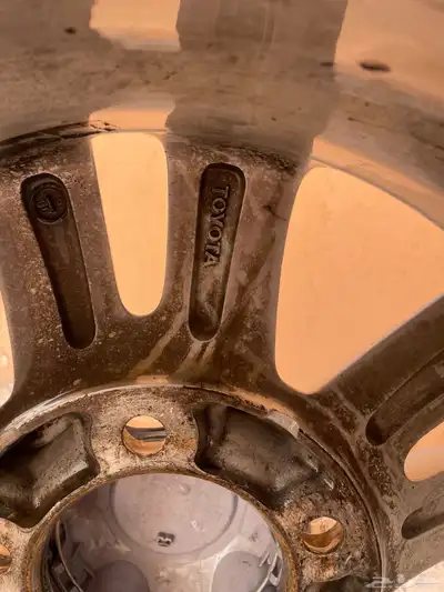 جنوط 1