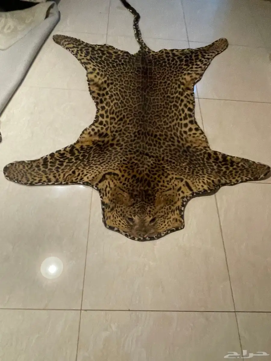 حي غرناطه الرياض 1