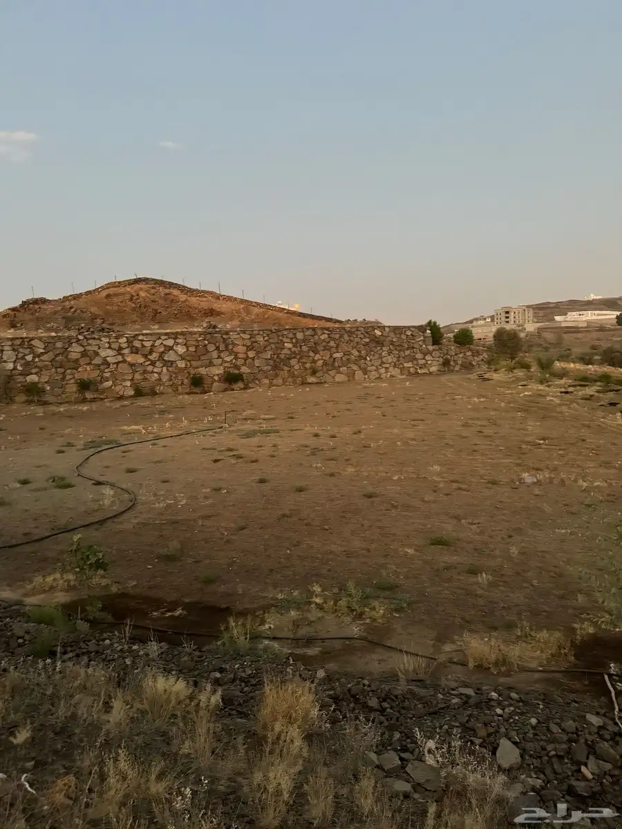 مزرعه للإيجار 0