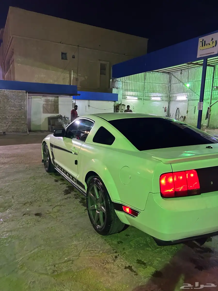 موستنج 2008 1
