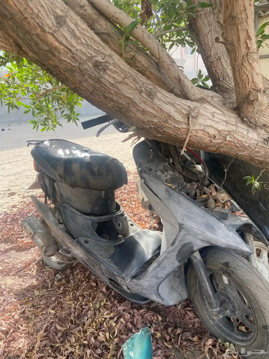 للبيع دباب بطه 0