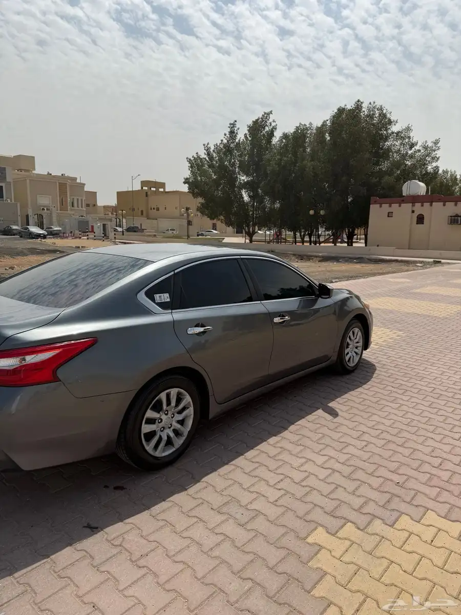 التيما 6