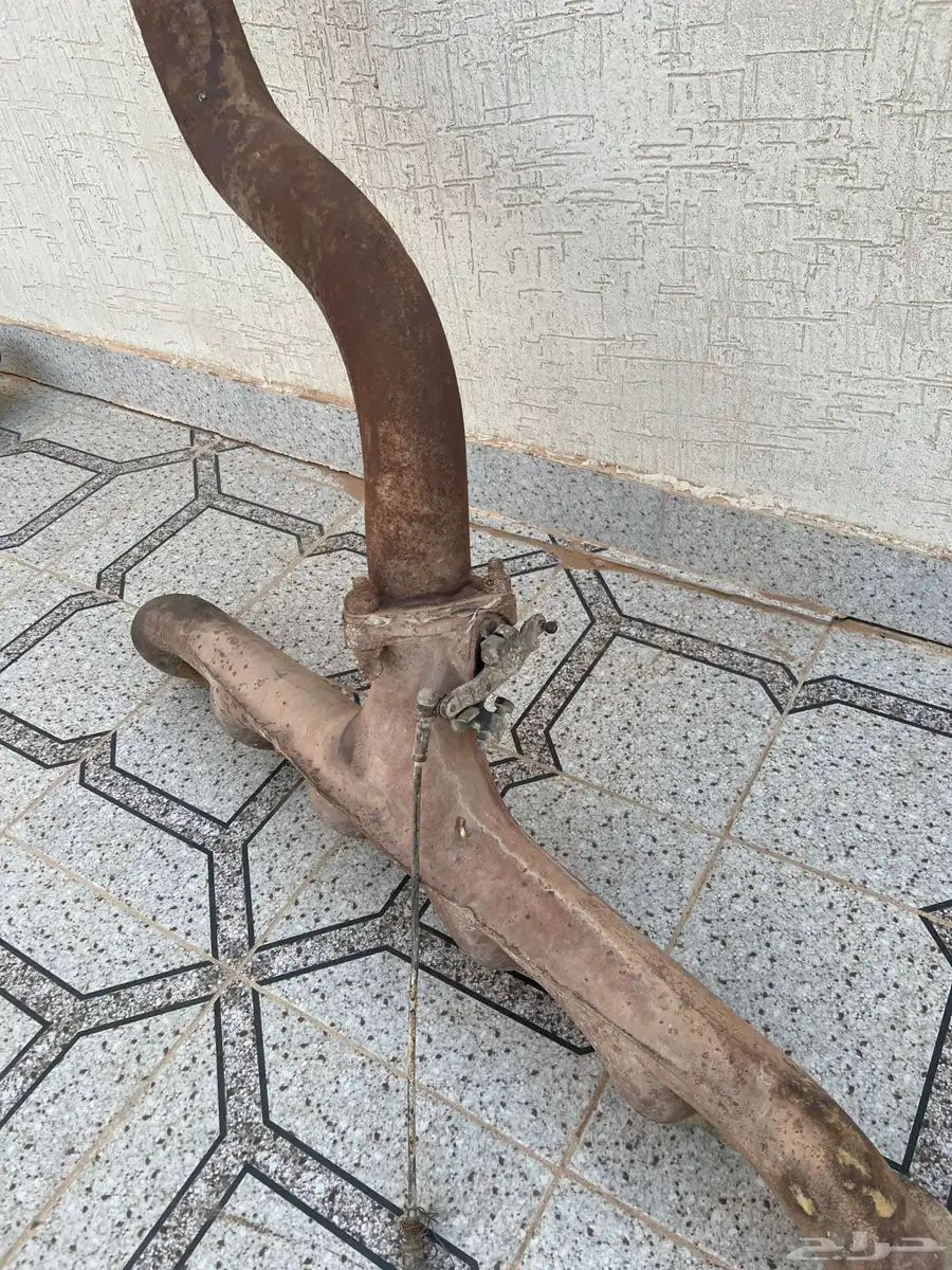 قزوز عايدي بطفاية للبيع 1