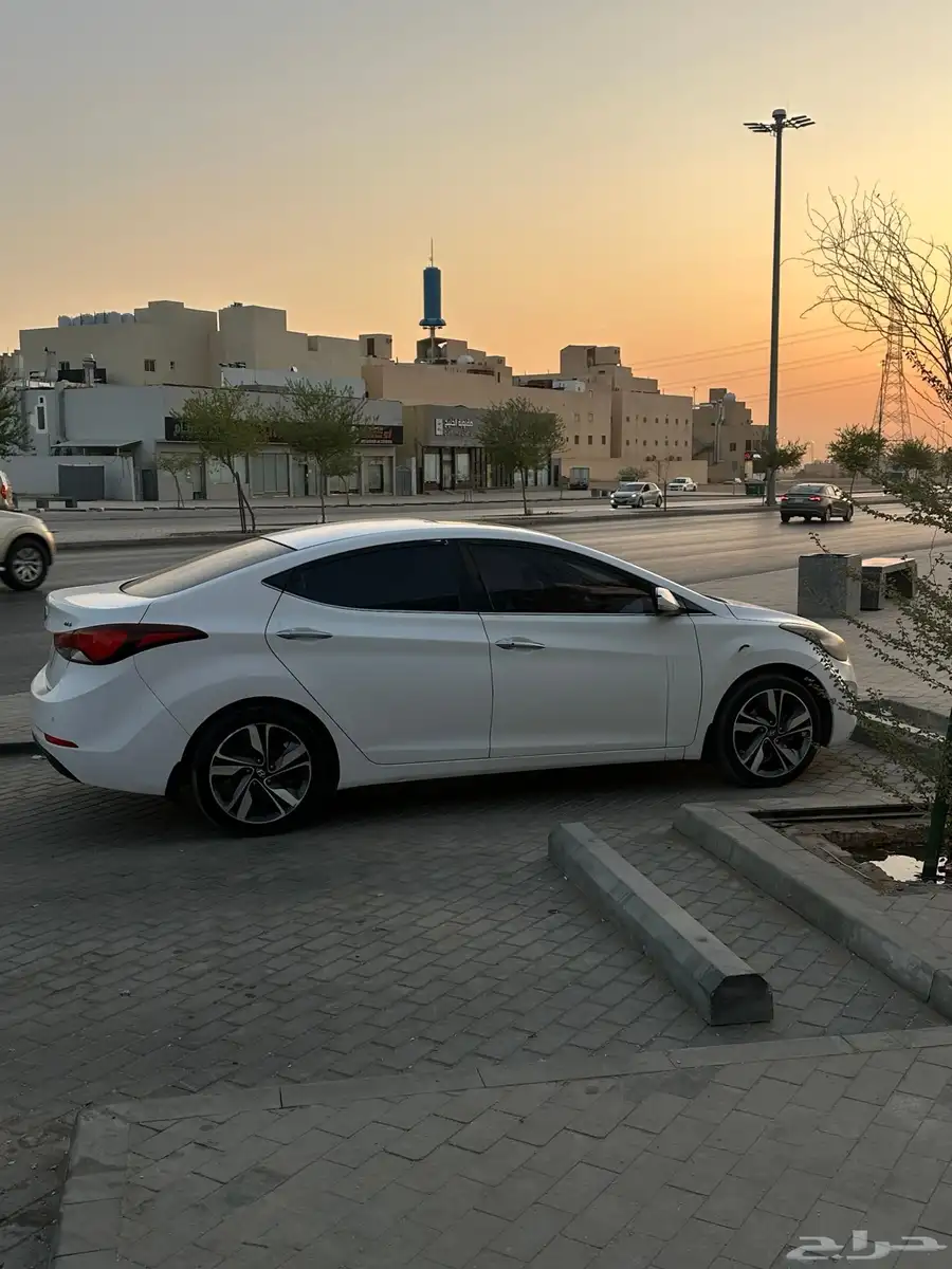 النترا 2015 7