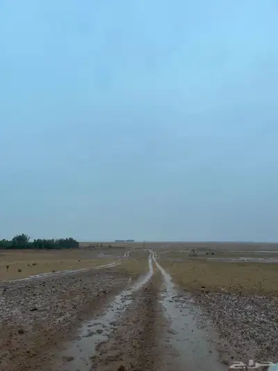 مزرعة للايجار 12