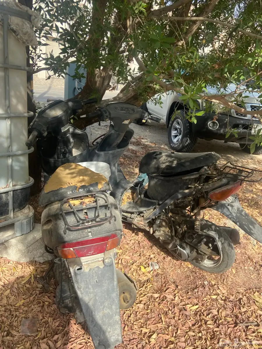 للبيع دباب بطه 2