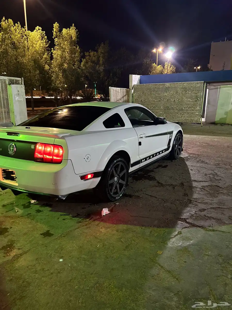 موستنج 2008 4