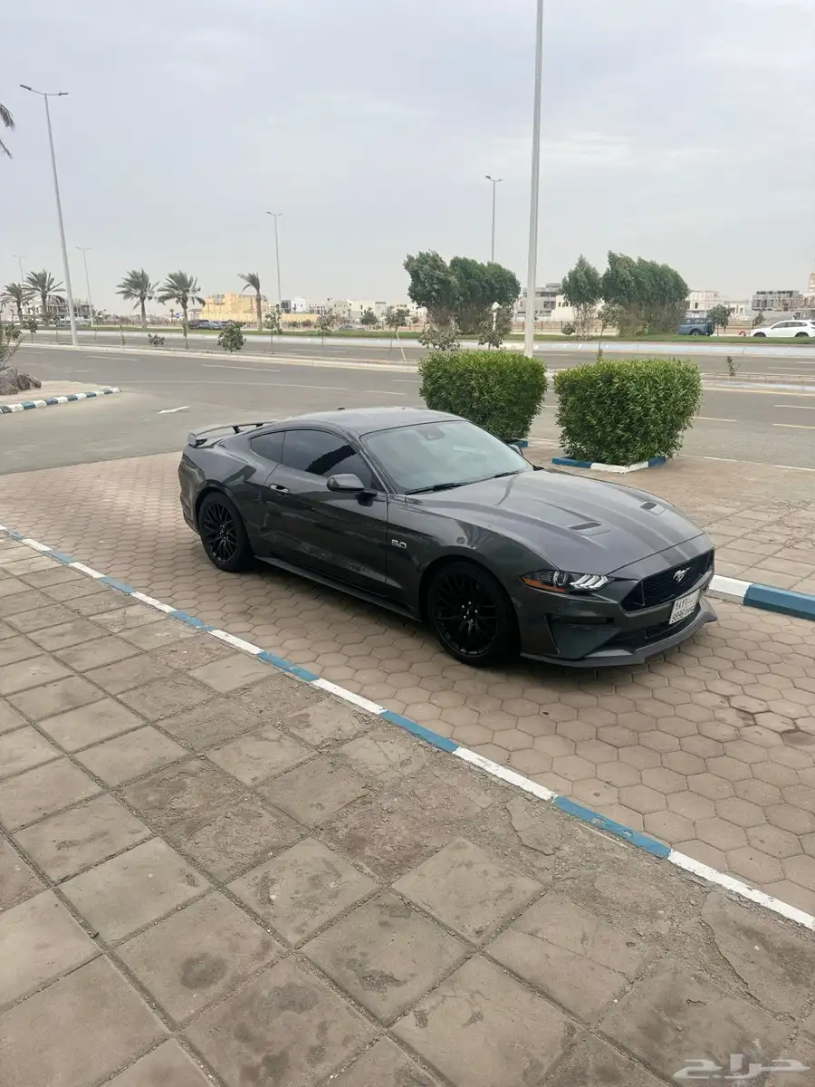 للبيع فورد موستنج 2019 برفورمنس بكج ممشى قليل 0