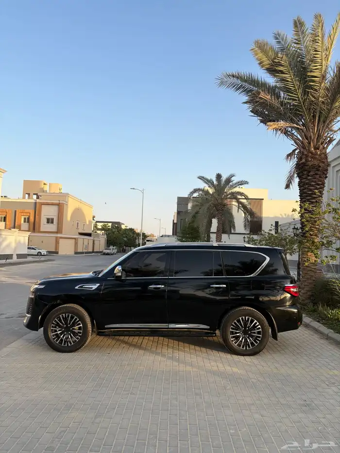 باترول بلاتينيوم 1