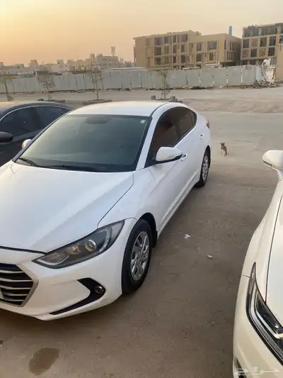 النترا2018 مكينه (2000) 0