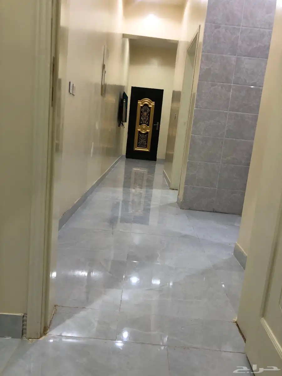 مطلوب يوجد شقة مفروشة 6