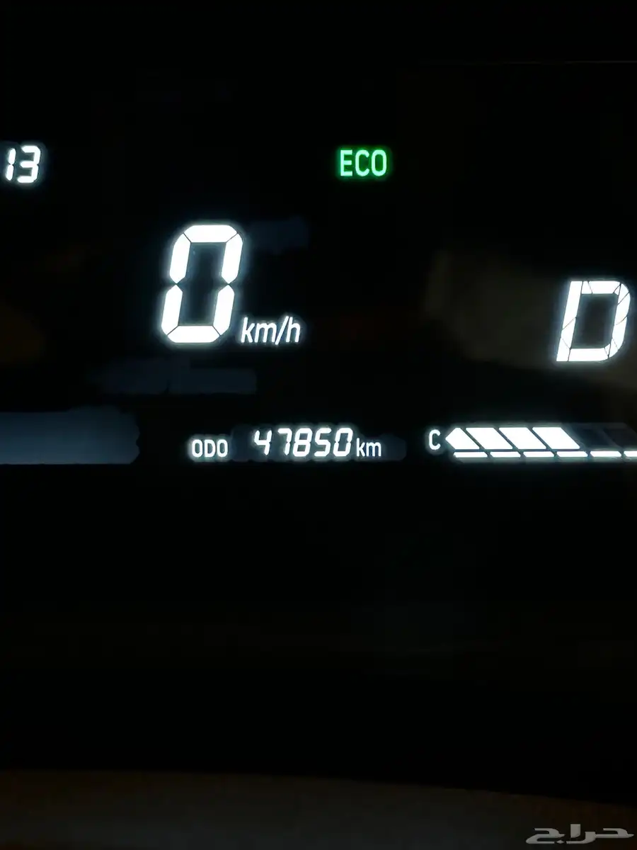 جيتور داشينج 2023 18