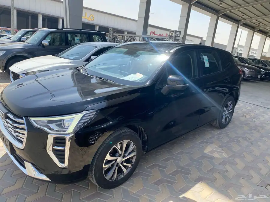 مجموعة هافال جوليان 2024 فئه البيسك عرض محدود 8