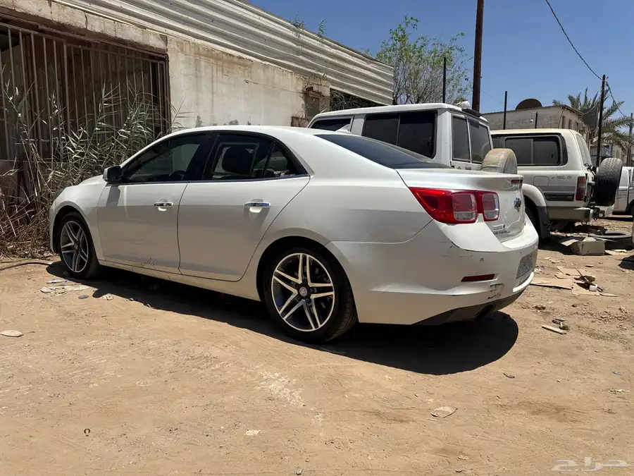 مليبو2013 0