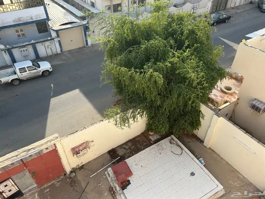 عمارة للبيع النوارية بسعر مغري 12