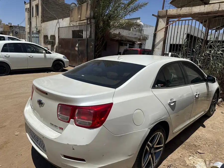 مليبو2013 1