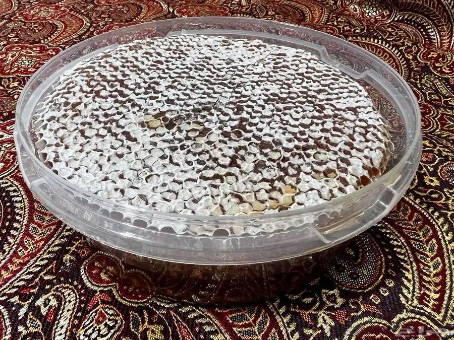 عسل سدر عماني مضمون 100   للطلب التواصل على الرقم أو الخاص 6